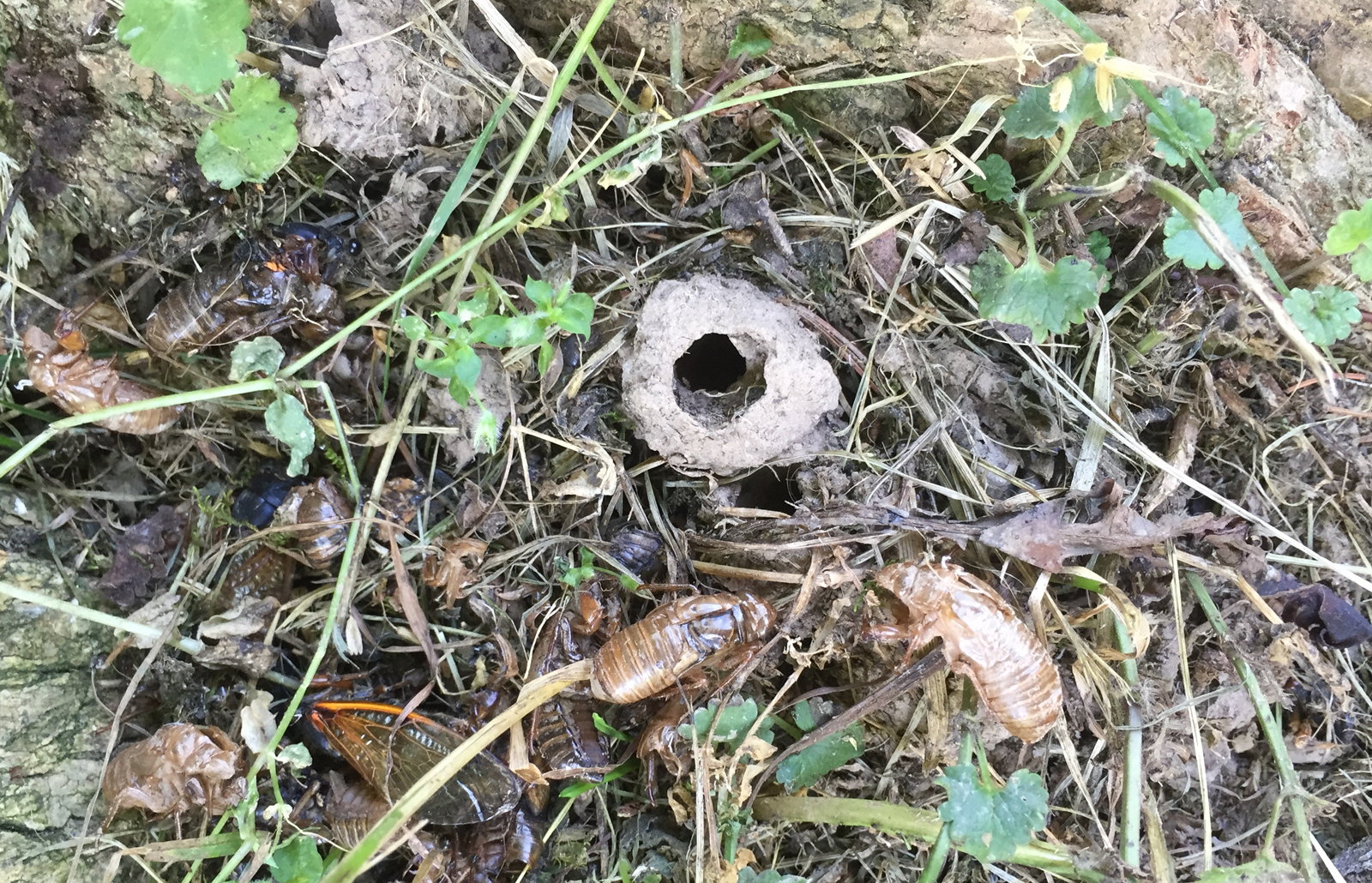 Turret over hole